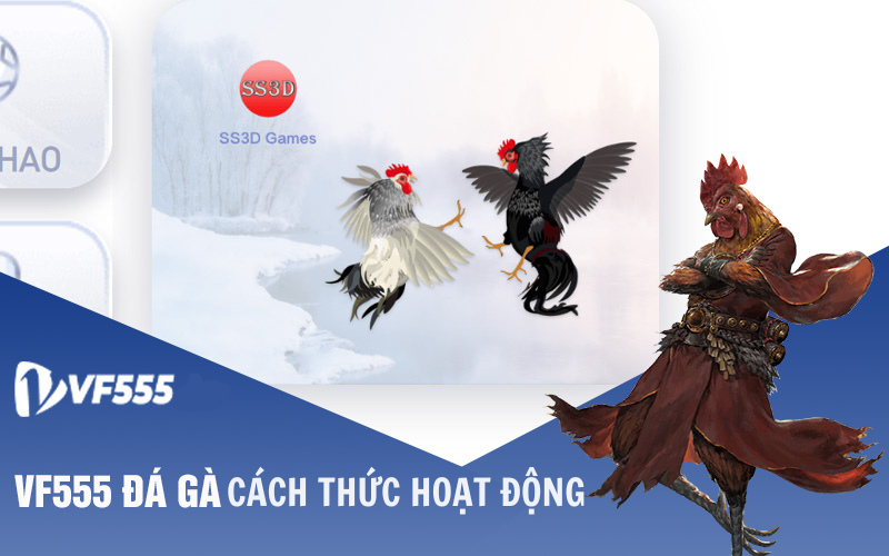 Cách thức hoạt động của đá gà tại VF555 Casino